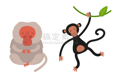 猴子,动物,反差,濒危物种,可爱的,纯种犬,野生动物,布置,打字,坐