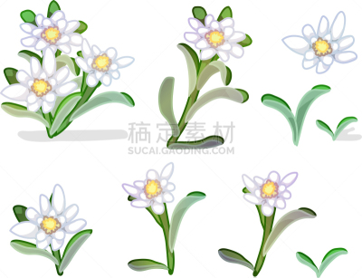 植物群,剪贴画,卡通,华丽的,品牌名称,植物,三维图形,夏天,绘制,花