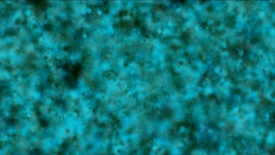 水生物显微镜 