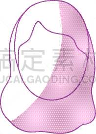 女人,发型,人的脸部,头像,设计师,轮廓,商务,人,肖像,剪影