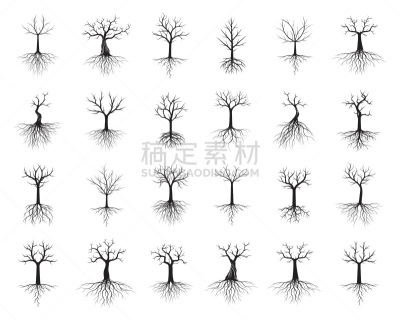 园林,植物,绘画插图,根部,黑色,白色背景,概念,分离着色,树,布置