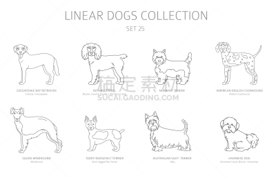 分离着色,狗,白色,线条,极简构图,牧羊人,轮廓,可爱的,直的,收集