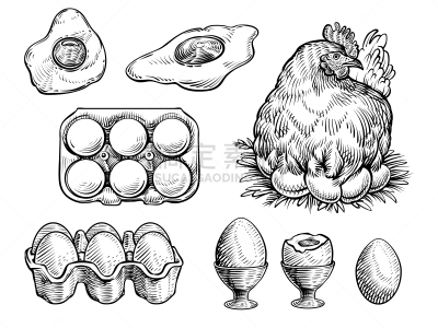 鸡,矢量,绘画插图,鸡蛋,草图,清新,动物的巢,农场,农业,复古