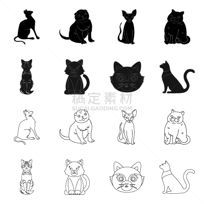 宠物,符号,史芬克斯无毛猫,分离着色,可爱的,白色,纯种犬,布置,收集,坐