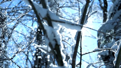 浪漫的冬季雪山树木自然景观全景