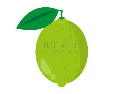 柠檬,绘画插图,矢量,热带水果,精力,清新,食品,浆果,熟的,成分