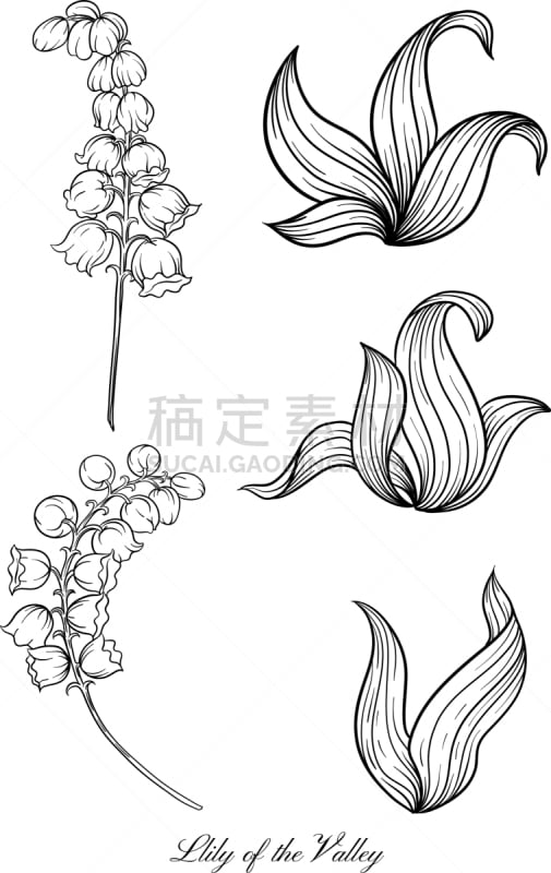 山谷,百合花,传统,浪漫,简单,植物群,铃兰,古董,复古,花