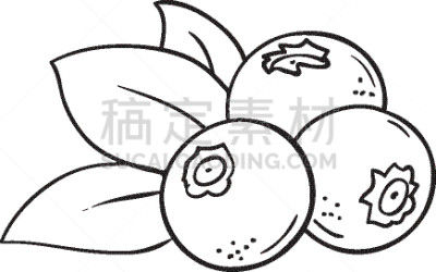 蓝莓,动物手,彩色书,清新,食品,熟的,壁纸,蜘蛛网,绘制,着色
