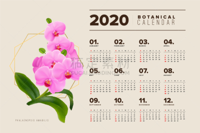兰花,植物学,日历,紫色,2020,九月,十月,事件,电子记事本,月