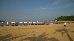 日间珠海海滩休闲区棕榈影全景 中国
