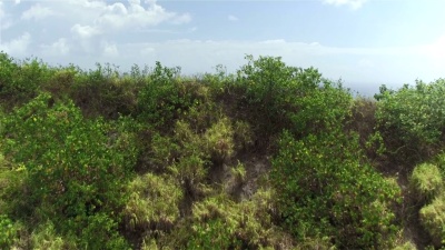 空中飞行 飞越丛林山脉，展现美丽的莫图岛，豪华度假村和晶莹剔透的绿松石泻湖