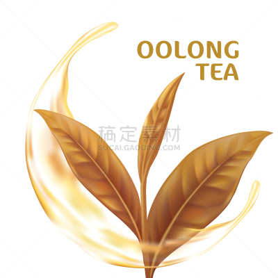 乌龙茶,矢量,绘画插图,茶叶,饮料,农业,热,健康保健,清新