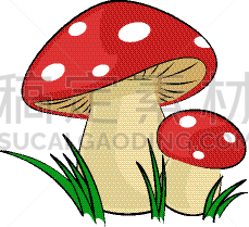 森林,蘑菇,自然,矢量,有毒物质,红色,食品,图像,草图,植物群