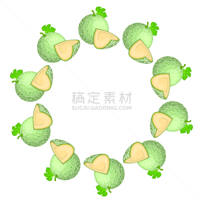 健康生活方式,卡通,有机食品,式样,矢量,绘画插图,花环,留白,甜食,浆果