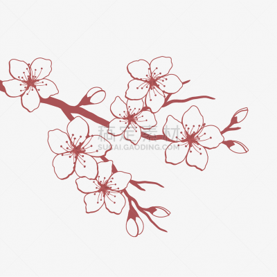 红色,花朵,枝,饰品花,白色背景,樱桃,传统,贺卡,背景分离,模板