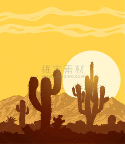 仙人掌,沙漠,石头,夜晚,自然,风景,图像,墨西哥,自然美,日落