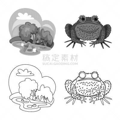 野生动物,藓沼,图标集,生物学,有毒物质,青蛙,草,动物,湖,两栖纲