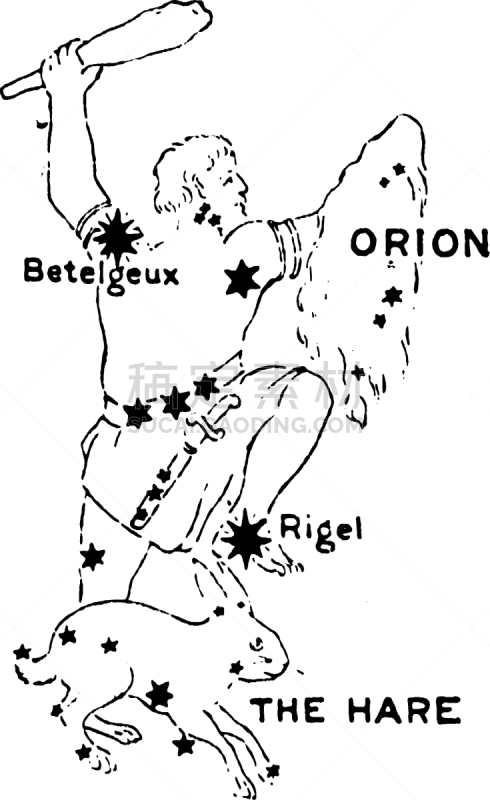 猎户座大星云,白色,矢量,图像,雕刻图像,黑色,复古