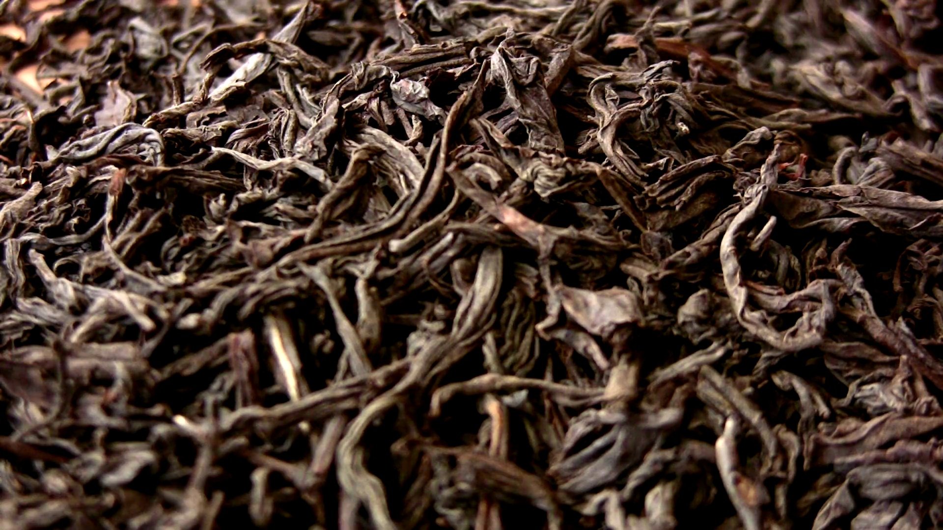 茶