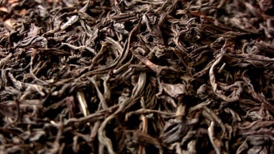 茶