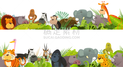 动物,野生植物,非洲,猴子,可爱的,自然,动物园,斑马,热带雨林,野生动物