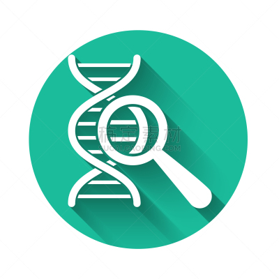 白色,遗传研究,分离着色,长的,图标,螺线,技术,科学,生物学,搜寻