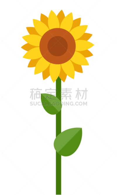 向日葵,矢量,一个物体,平坦的,分离着色,农业,橙色,花,花