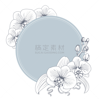 兰花,蝴蝶兰,枝,花束,花环,春天,植物,花,复古,剪影