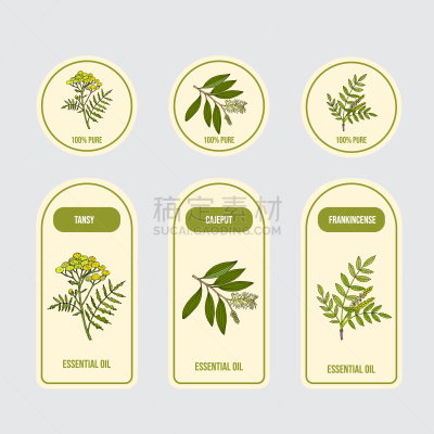 标签,香熏油,有机食品,自然,草本,乳香,清新,图像,美,艾菊