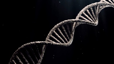 结构分子DNK旋转环