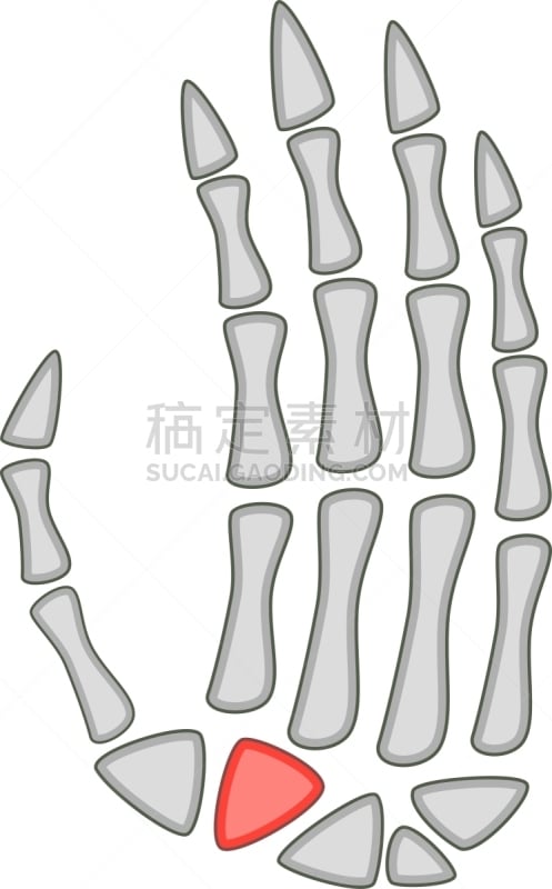 动物手,动画片,时尚,棕榈树,计算机图标,掌骨,健康保健,人,生病