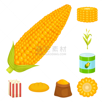 食品,甜玉米,图标,农业,蔬菜,热,谷物,大桶,收集,设计