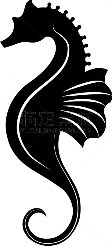 鱼类,海洋生命,水下,白色,小的,清新,自然,野生动物,图像,设计