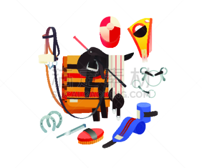 个人随身用品,骑具,运动手套,马勒,健康保健,缰绳,运动,背景分离,马属,设备用品