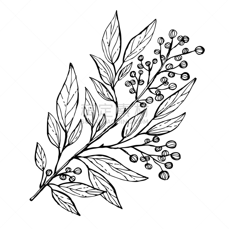 动物手,事件,请柬,周年纪念,植物群,婚礼,插花,绘制,问候,排列