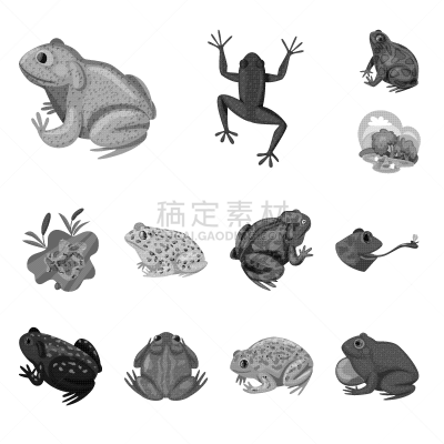 自然,计算机图标,野外动物,生物学,野生动物,莫诺湖,草,动物,牛蛙,湖
