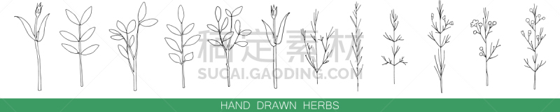 草本,动物手,茶,可爱的,华丽的,多样,绘制,收集,剪影,布置