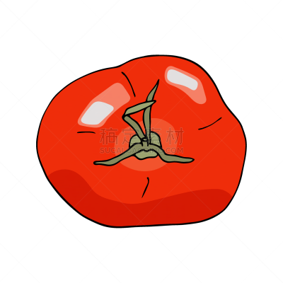 蔬菜,清新,西红柿,红色,白色背景,矢量,风景,分离着色,完整,顶部