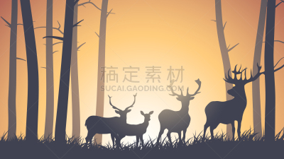 木制,野外动物,水平画幅,野生动物,黄昏,草,有角的,母鹿,格林伍得,剪影