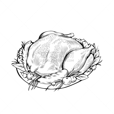 绘画插图,彩色书,矢量,鸡肉,蔬菜,篮子,空的,背景分离,装饰菜,食品