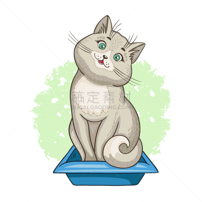 猫,猫盒,可爱的,纯种犬,姿态,肖像,哺乳纲,垃圾,自然美,坐