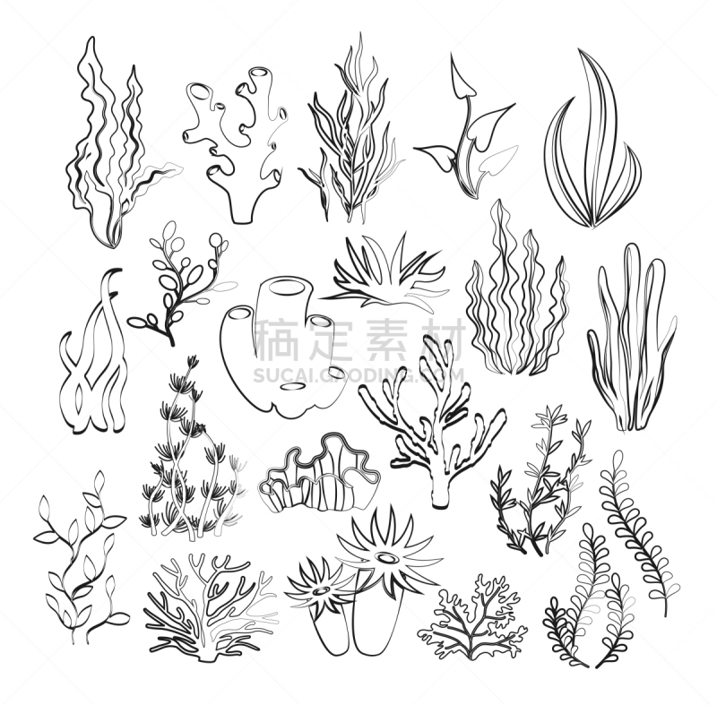 轮廓,海草,野生动物,植物群,礁石,水生动植物,植物,珊瑚,绘制,剪影
