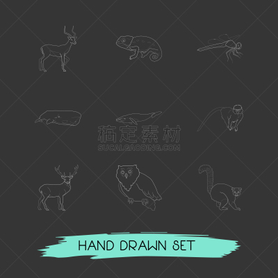 符号,动物学,线条,猴子,可爱的,野生动物,灵长目,猿,哺乳纲,自然美