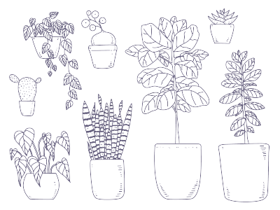 轮廓,绘画插图,矢量,室内植物,分离着色,地球日,背景分离,花盆,环境保护,布置