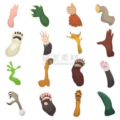 宠物,模仿动物,动物,爪,爪子,动物手,猴子,分离着色,自然,图像