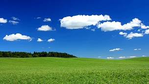 碧绿的田野和蔚蓝的天空