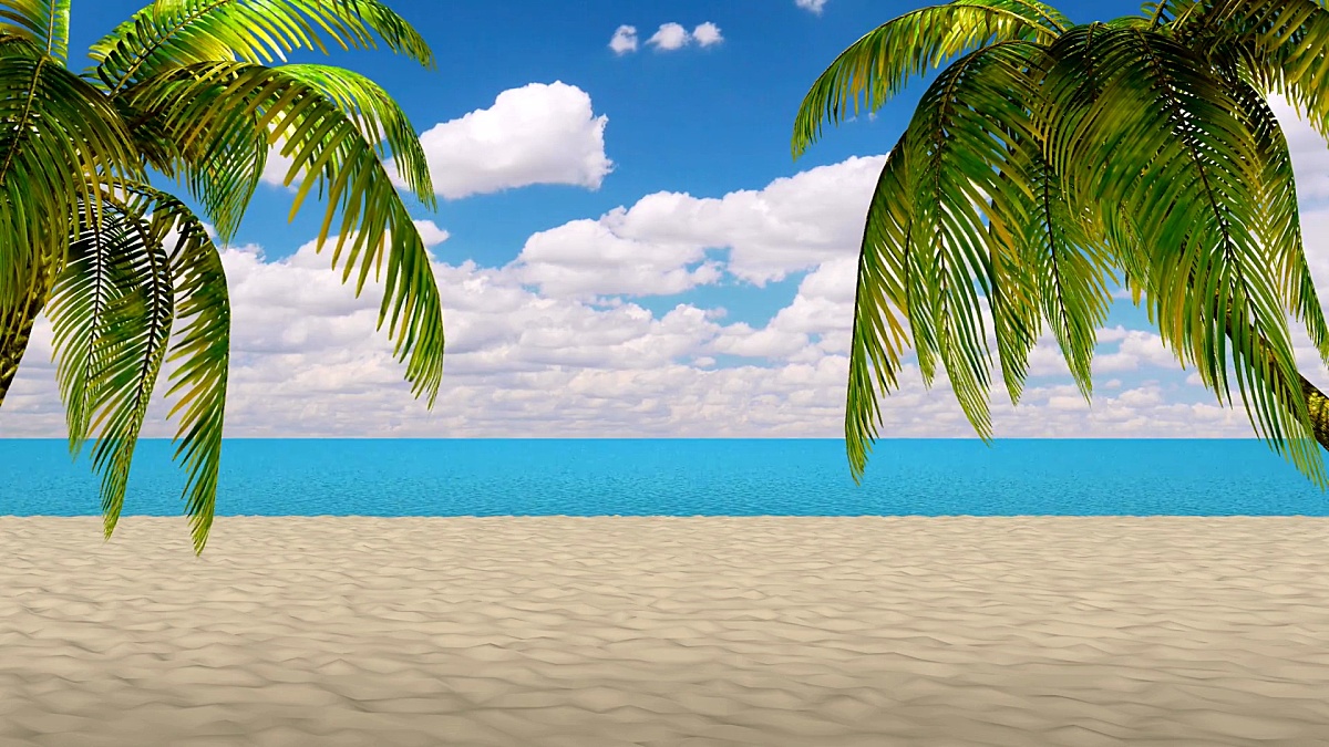 3D，棕榈滩和酒店附近的大海