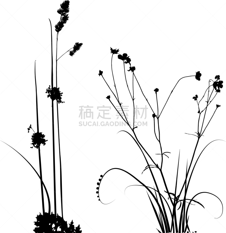 植物群,黑白图片,脉搏图,壁纸,瓷砖,草,古董,装饰物,收集,复古
