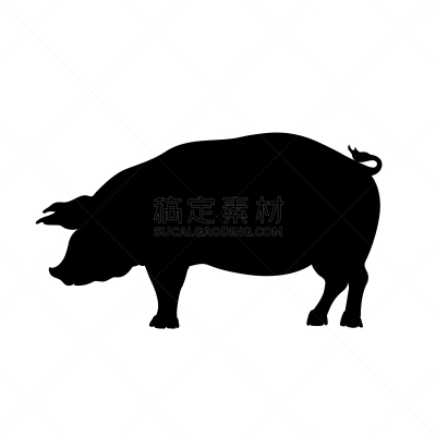 猪,分离着色,黑色,图像,可爱的,食品,哺乳纲,餐馆,动物,剪影