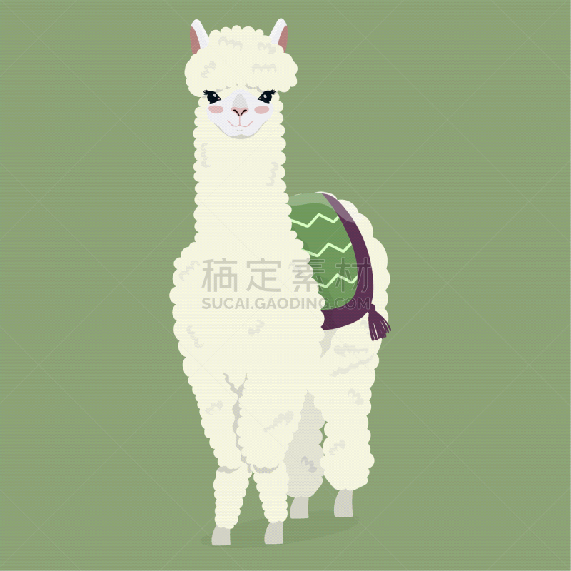 可爱的,白色,羊驼,绿色背景,动物毛,传统,野生动物,哺乳纲,自然美,动物